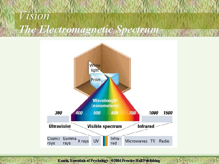 Vision The Electromagnetic Spectrum Kassin, Essentials of Psychology - © 2004 Prentice Hall Publishing