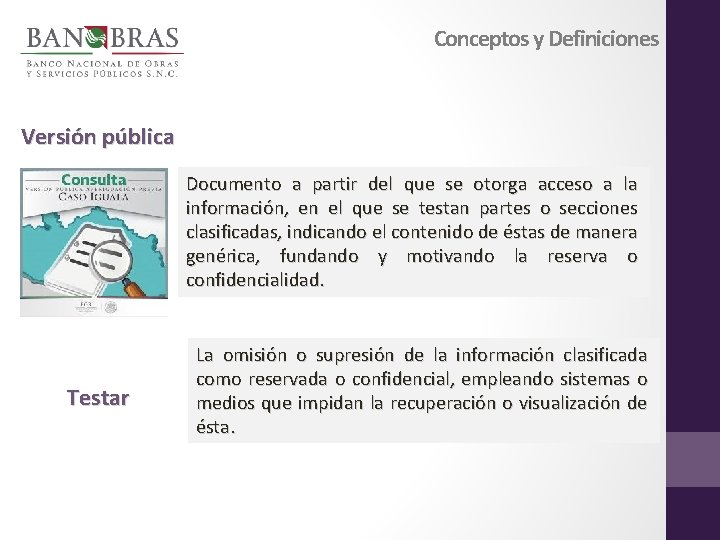 Conceptos y Definiciones Versión pública Documento a partir del que se otorga acceso a