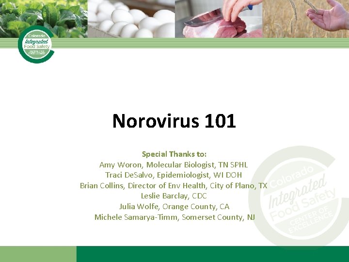 Norovirus 101 Special Thanks to: Amy Woron, Molecular Biologist, TN SPHL Traci De. Salvo,