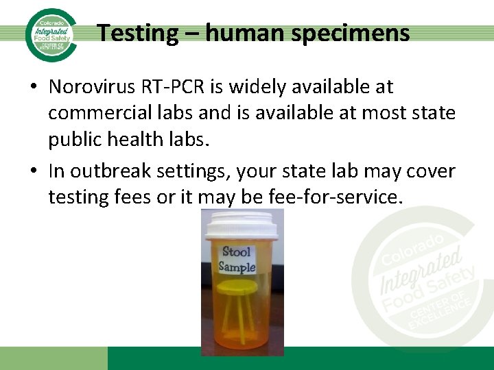 Testing – human specimens • Norovirus RT-PCR is widely available at commercial labs and