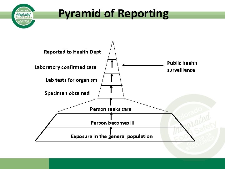 Pyramid of Reporting Reported to Health Dept Laboratory confirmed case Lab tests for organism