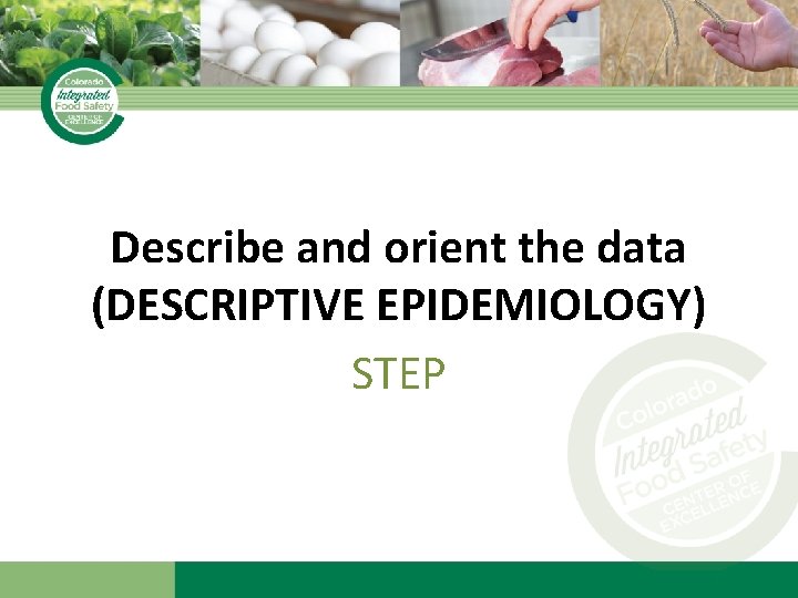 Describe and orient the data (DESCRIPTIVE EPIDEMIOLOGY) STEP 