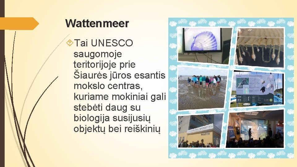 Wattenmeer Tai UNESCO saugomoje teritorijoje prie Šiaurės jūros esantis mokslo centras, kuriame mokiniai gali