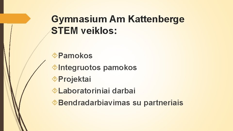Gymnasium Am Kattenberge STEM veiklos: Pamokos Integruotos pamokos Projektai Laboratoriniai darbai Bendradarbiavimas su partneriais