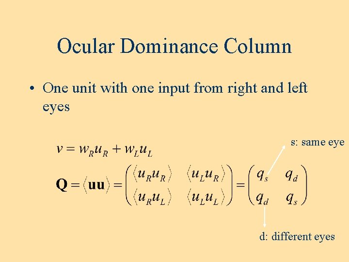 Ocular Dominance Column • One unit with one input from right and left eyes Ocular Dominance Column • One unit with one input from right and left eyes