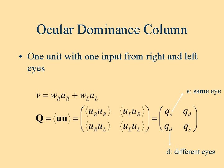 Ocular Dominance Column • One unit with one input from right and left eyes