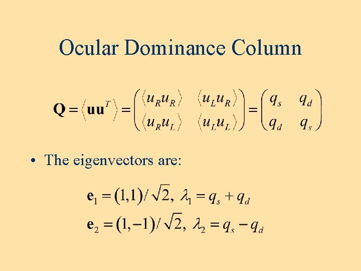 Ocular Dominance Column • The eigenvectors are: 