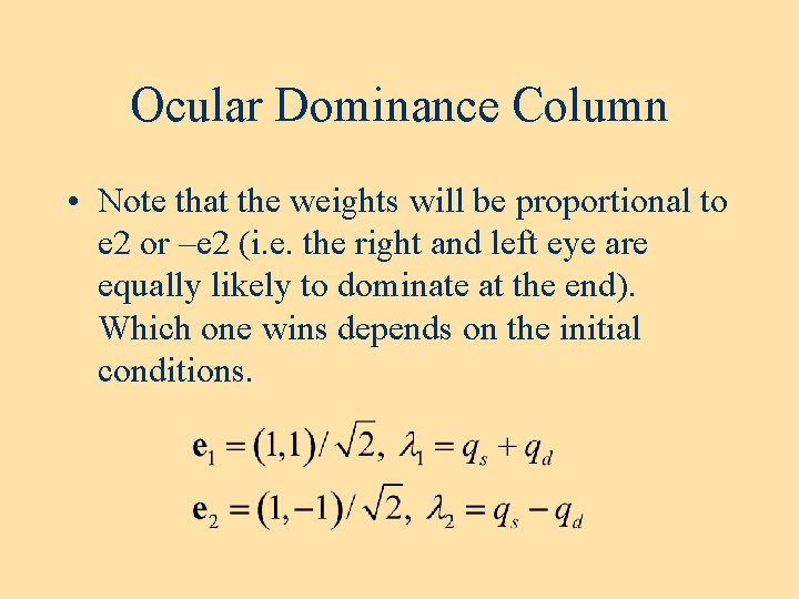 Ocular Dominance Column • Note that the weights will be proportional to e 2 Ocular Dominance Column • Note that the weights will be proportional to e 2