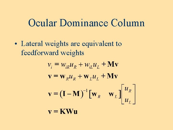 Ocular Dominance Column • Lateral weights are equivalent to feedforward weights 