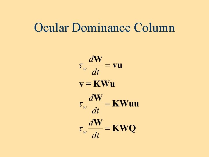 Ocular Dominance Column Ocular Dominance Column