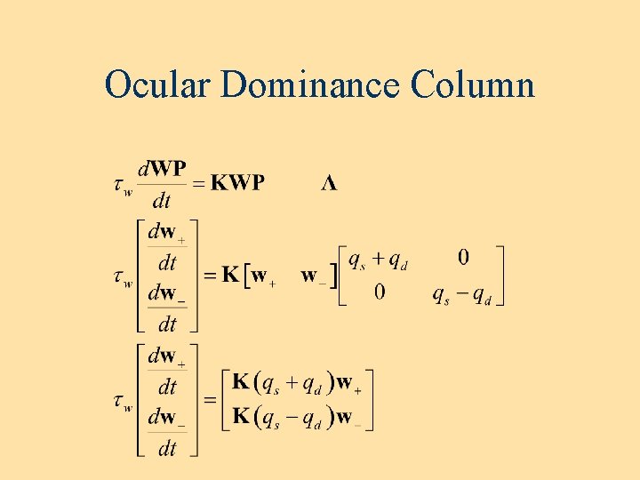 Ocular Dominance Column Ocular Dominance Column