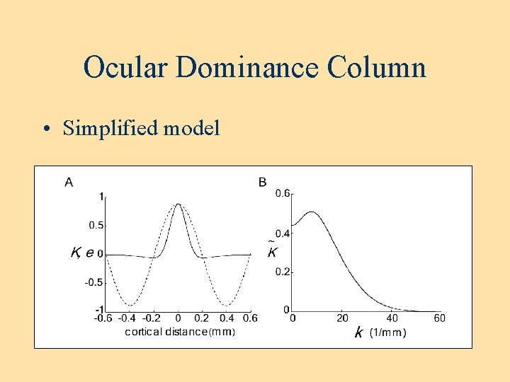 Ocular Dominance Column • Simplified model 