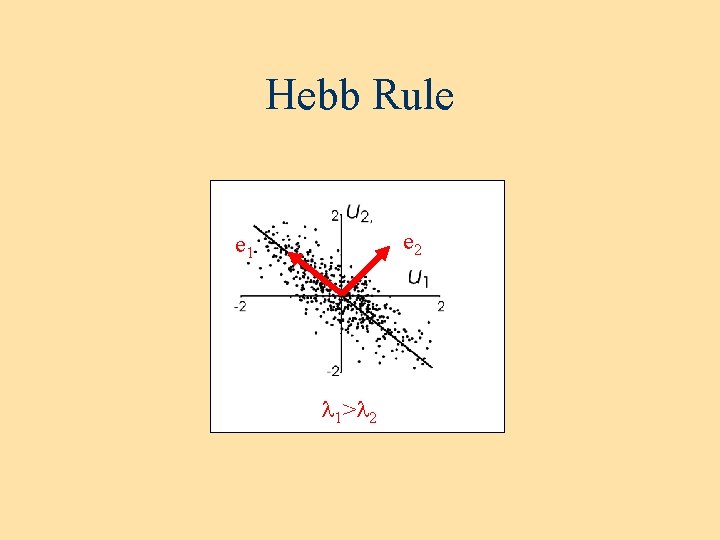 Hebb Rule e 2 e 1 l 1>l 2 