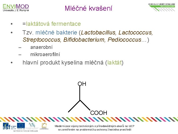 Mléčné kvašení • • =laktátová fermentace Tzv. mléčné bakterie (Lactobacillus, Lactococcus, Streptococcus, Bifidobacterium, Pediococcus…)