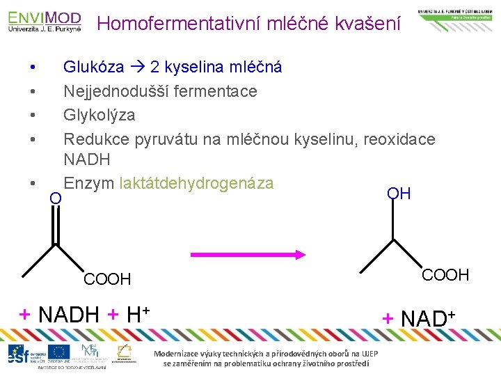 Homofermentativní mléčné kvašení • • Glukóza 2 kyselina mléčná Nejjednodušší fermentace Glykolýza Redukce pyruvátu