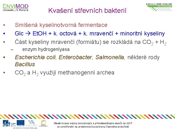 Kvašení střevních bakterií • • • Smíšená kyselinotvorná fermentace Glc Et. OH + k.