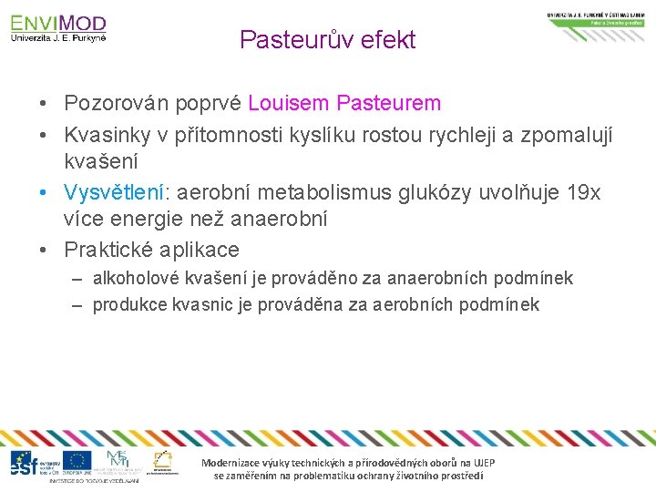 Pasteurův efekt • Pozorován poprvé Louisem Pasteurem • Kvasinky v přítomnosti kyslíku rostou rychleji