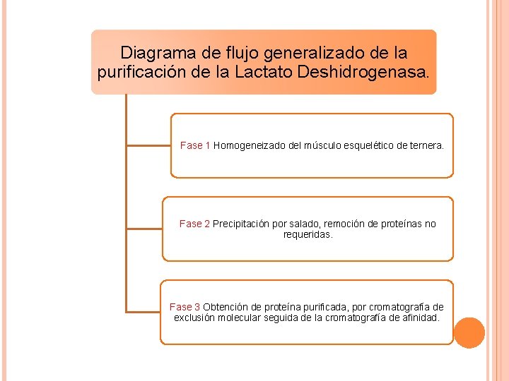 Diagrama de flujo generalizado de la purificación de la Lactato Deshidrogenasa. Fase 1 Homogeneizado