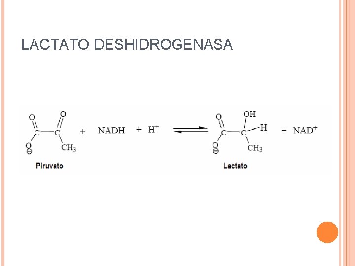 LACTATO DESHIDROGENASA 