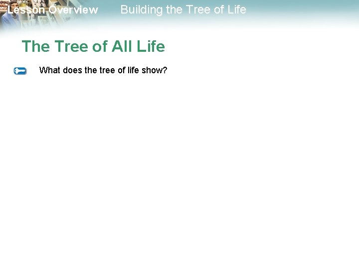 Lesson Overview Building the Tree of Life The Tree of All Life What does