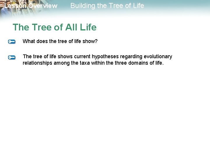 Lesson Overview Building the Tree of Life The Tree of All Life What does