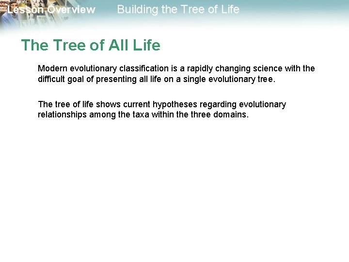 Lesson Overview Building the Tree of Life The Tree of All Life Modern evolutionary