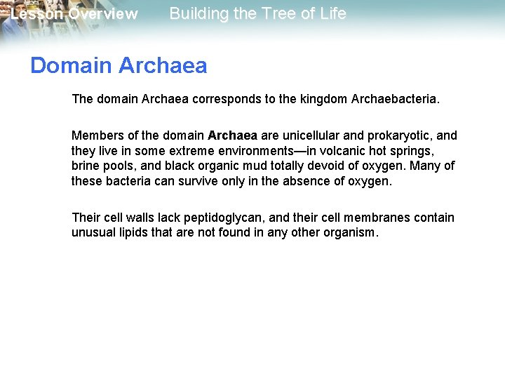 Lesson Overview Building the Tree of Life Domain Archaea The domain Archaea corresponds to