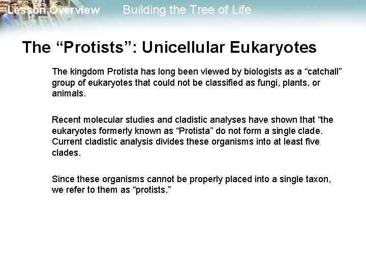 Lesson Overview Building the Tree of Life The “Protists”: Unicellular Eukaryotes The kingdom Protista