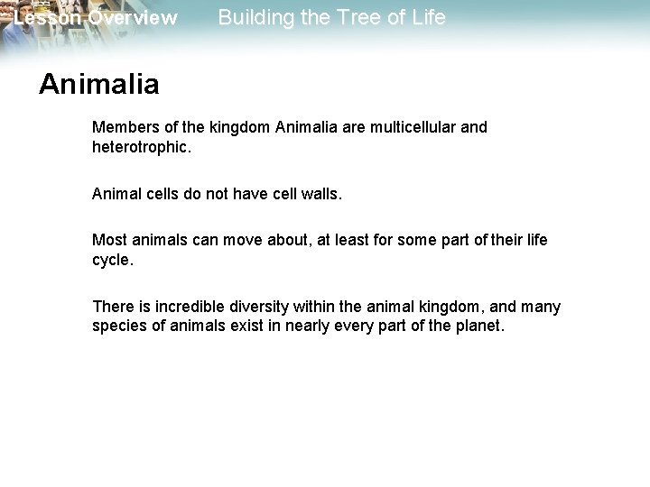 Lesson Overview Building the Tree of Life Animalia Members of the kingdom Animalia are