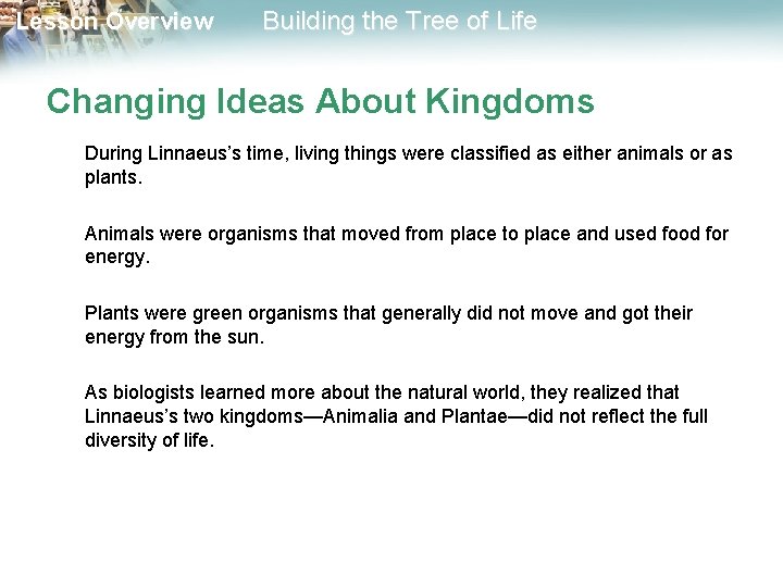 Lesson Overview Building the Tree of Life Changing Ideas About Kingdoms During Linnaeus’s time,