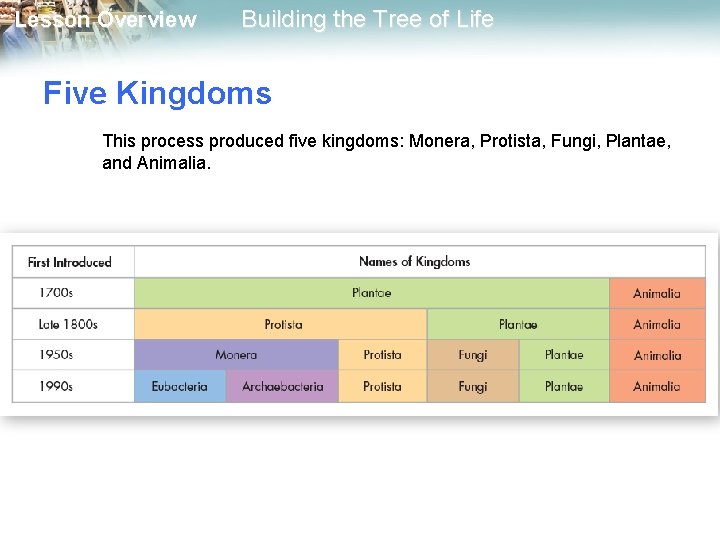 Lesson Overview Building the Tree of Life Five Kingdoms This process produced five kingdoms: