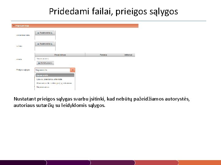 Pridedami failai, prieigos sąlygos Nustatant prieigos sąlygas svarbu įsitinki, kad nebūtų pažeidžiamos autorystės, autoriaus