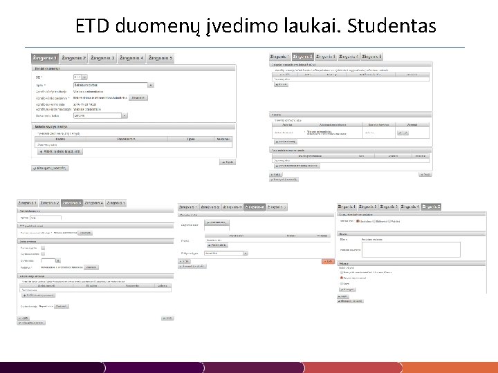 ETD duomenų įvedimo laukai. Studentas 