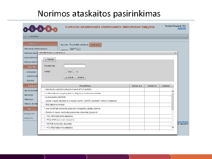 Norimos ataskaitos pasirinkimas 