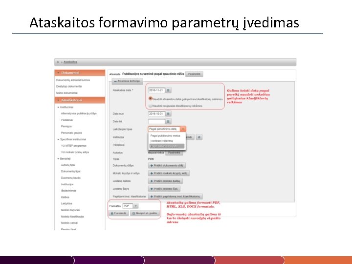  Ataskaitos formavimo parametrų įvedimas 