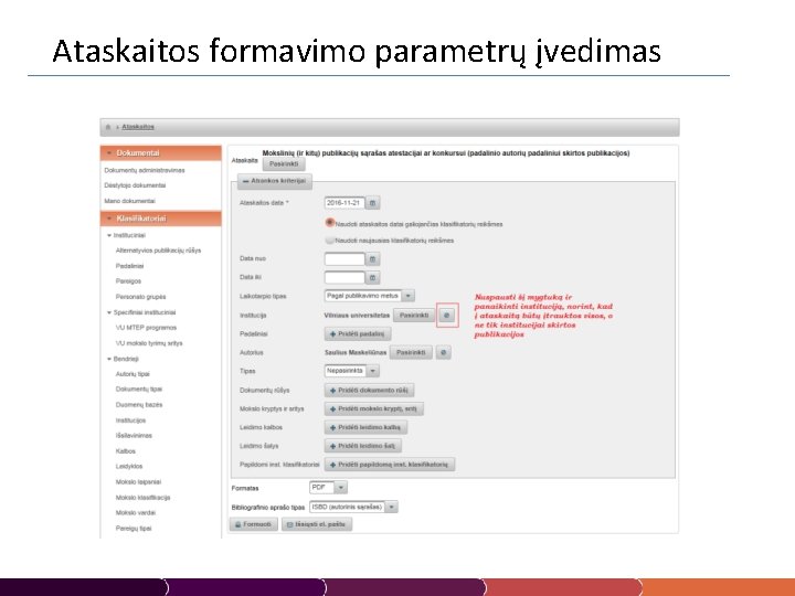 Ataskaitos formavimo parametrų įvedimas 