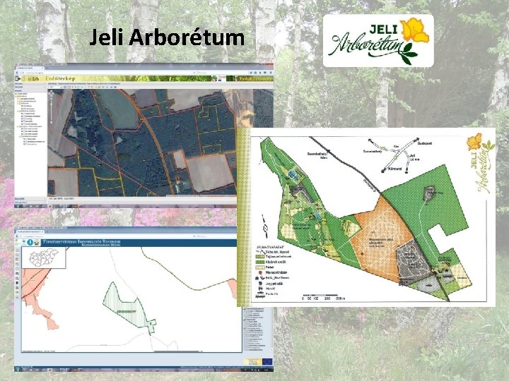 Jeli Arborétum 