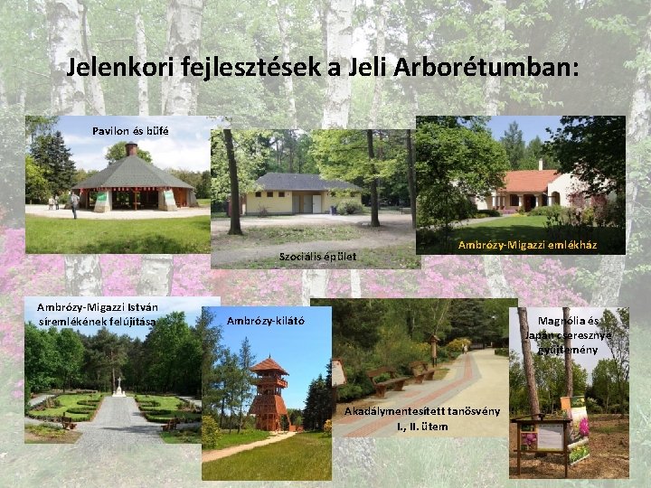 Jelenkori fejlesztések a Jeli Arborétumban: Pavilon és büfé Szociális épület Ambrózy-Migazzi István síremlékének felújítása