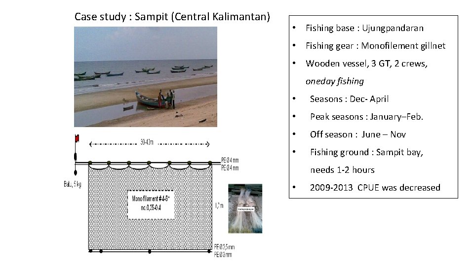 Case study : Sampit (Central Kalimantan) • Fishing base : Ujungpandaran • Fishing gear