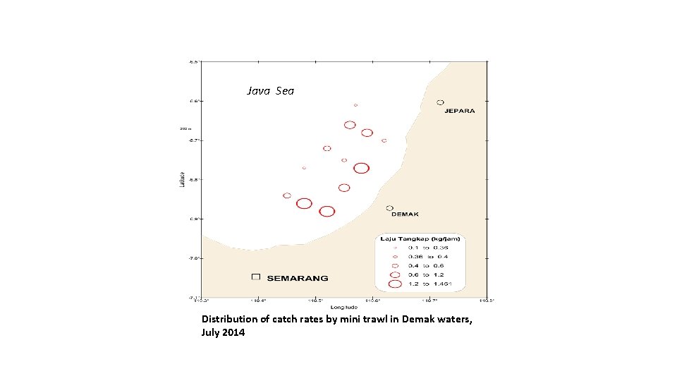 Java Sea Distribution of catch rates by mini trawl in Demak waters, July 2014