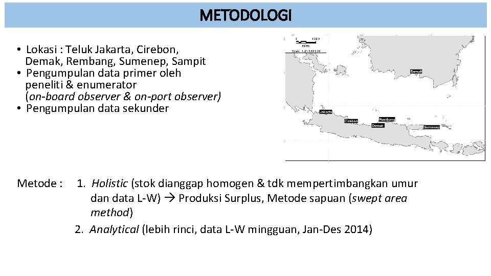 METODOLOGI • Lokasi : Teluk Jakarta, Cirebon, Demak, Rembang, Sumenep, Sampit • Pengumpulan data