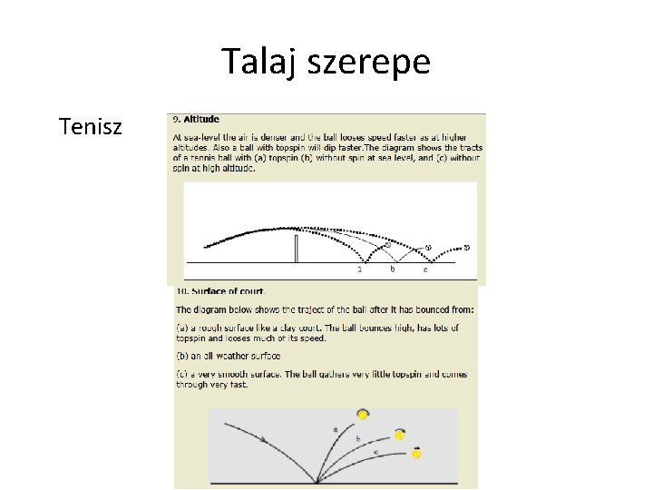 Talaj szerepe Tenisz 