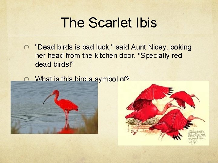 The Scarlet Ibis "Dead birds is bad luck, " said Aunt Nicey, poking her