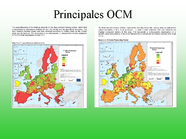 Principales OCM 