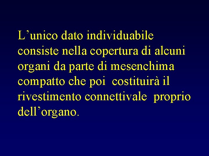 L’unico dato individuabile consiste nella copertura di alcuni organi da parte di mesenchima compatto