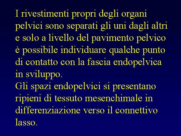 I rivestimenti propri degli organi pelvici sono separati gli uni dagli altri e solo