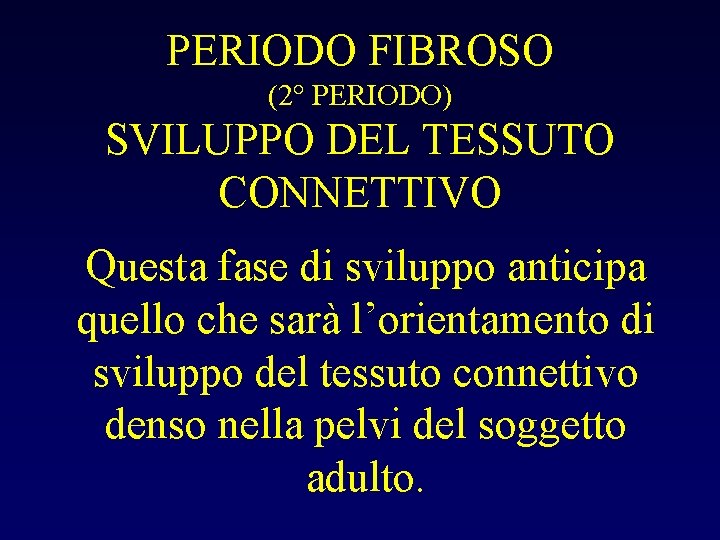 PERIODO FIBROSO (2° PERIODO) SVILUPPO DEL TESSUTO CONNETTIVO Questa fase di sviluppo anticipa quello