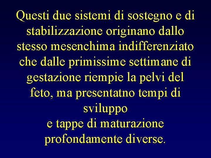 Questi due sistemi di sostegno e di stabilizzazione originano dallo stesso mesenchima indifferenziato che