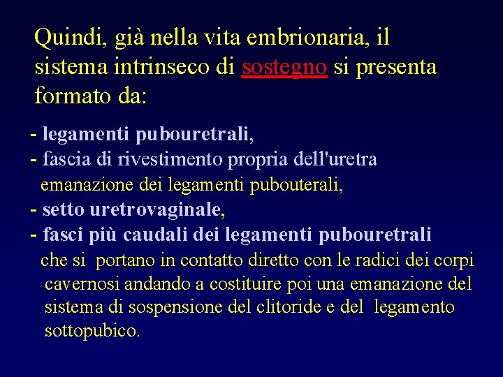 Quindi, già nella vita embrionaria, il sistema intrinseco di sostegno si presenta formato da: