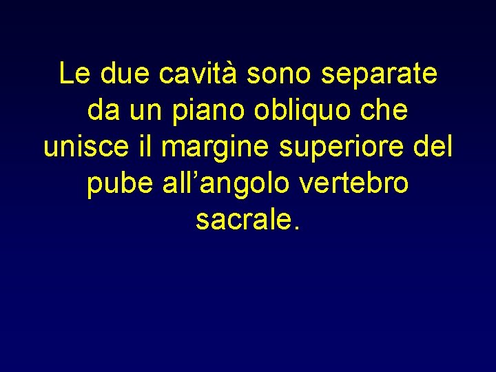 Le due cavità sono separate da un piano obliquo che unisce il margine superiore